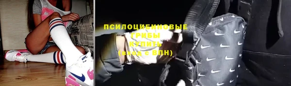 apvp Няндома