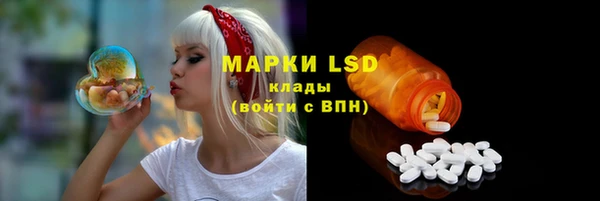 apvp Няндома